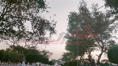 الإسماعيلية تكثف جهودها لتنفيذ قرارات مجلس الوزراء