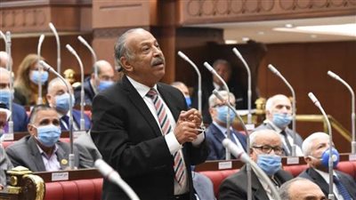 برلماني: مصر تقوم بجهود حثيثة لوقف العدوان الإسرائيلي على الشعب الأعزل