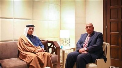شُكري ونظيره القطري يتفقان على أهمية العمل لوقف إطلاق النار بين الجانبين الفلسطيني والإسرائيلي 