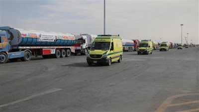 مصر تنتصر لفلسطين 