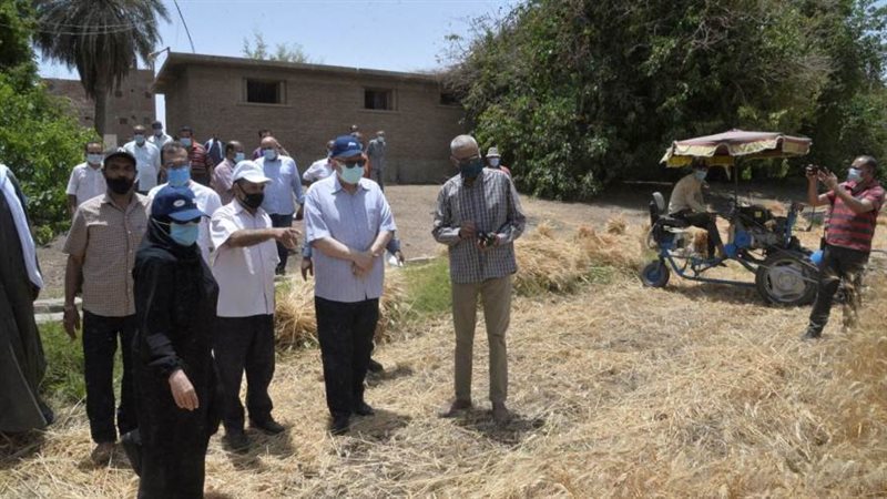 حصاد القمح أرشيفية