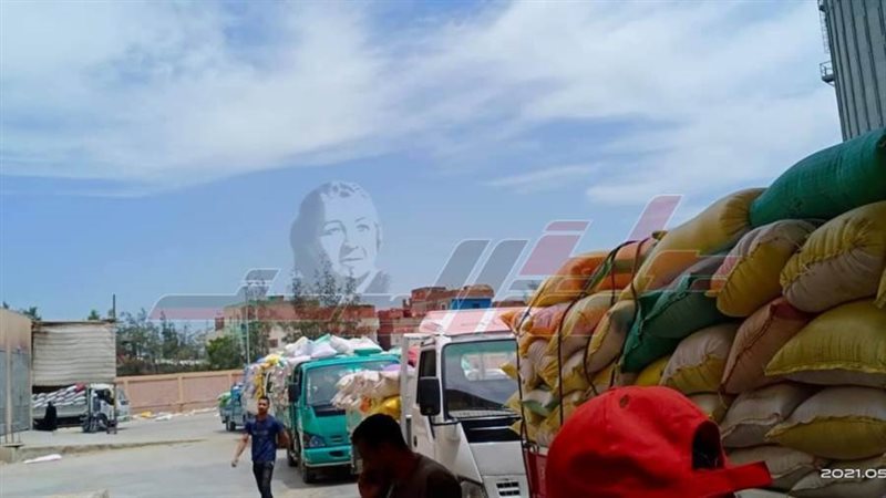 توريد القمح