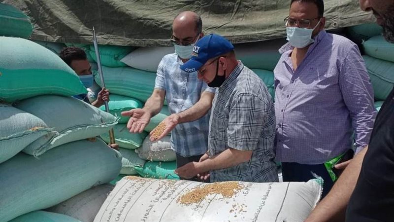 توريد القمح