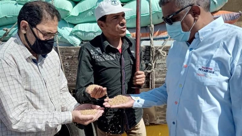 توريد القمح للصوامع