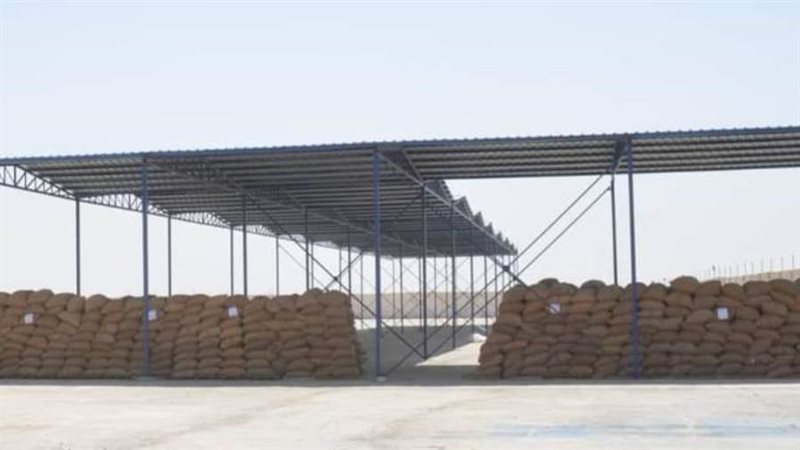 صوامع المنيا تستقبل