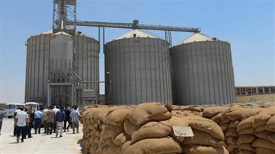 توريد 131 ألف طن قمح لشون وصوامع القليوبية
