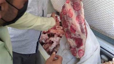 ضبط 210 كجم لحوم و132كجم أسماك وطيور مخالفة بالشرقية