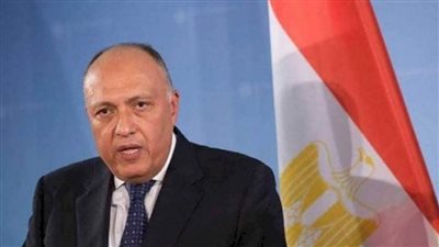 شكرى: استمرار مساعي مصر واتصالاتها لإنهاء التصعيد بالأراضي الفلسطينية ووقف إطلاق النار فى غزة