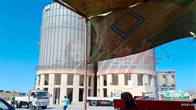 توريد 161231 طن قمح إلى شون وصوامع كفر الشيخ