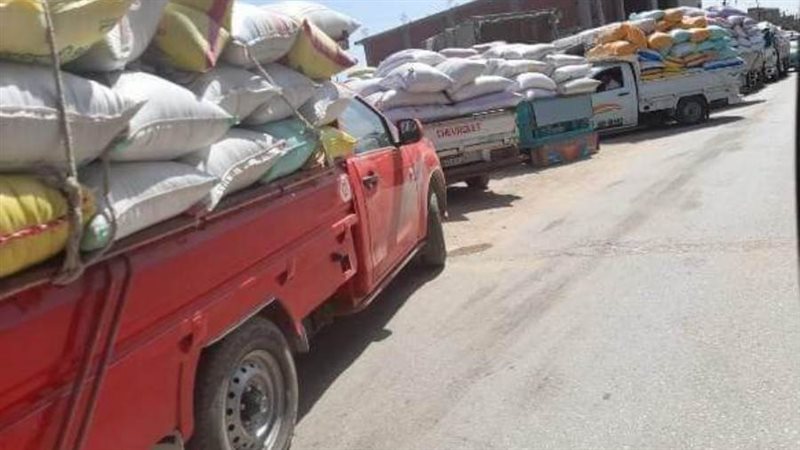 توريد السنابل الذهبية