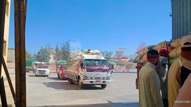 توريد القمح