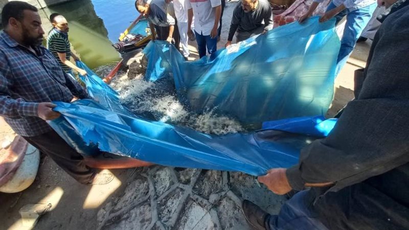 الذريعة السمكية