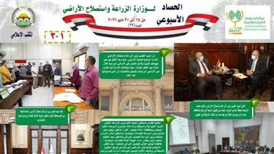 بالانفوجراف. نشرة الحصاد الأسبوعي رقم ٣٩  لأنشطة 