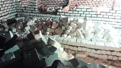 إزالة 9 حالات تعدٍّ على الأراضي الزراعية في حملة بالبحيرة