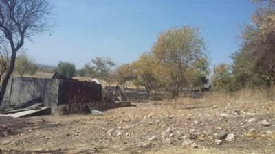 عاجل| سودان تربيون: قوات أثيوبية تتجه إلى الفشقة السودانية