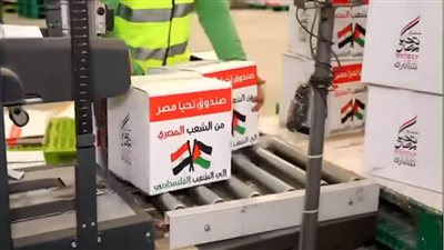 عاجل.. مصر تقدم 130 شاحنة محملة بمساعدات للأشقاء الفلسطينيين في غزة 