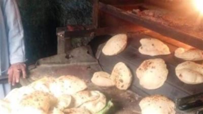 تحرير عدد 14 محضرا في حملة تموينية بمركز ساقلتة سوهاج