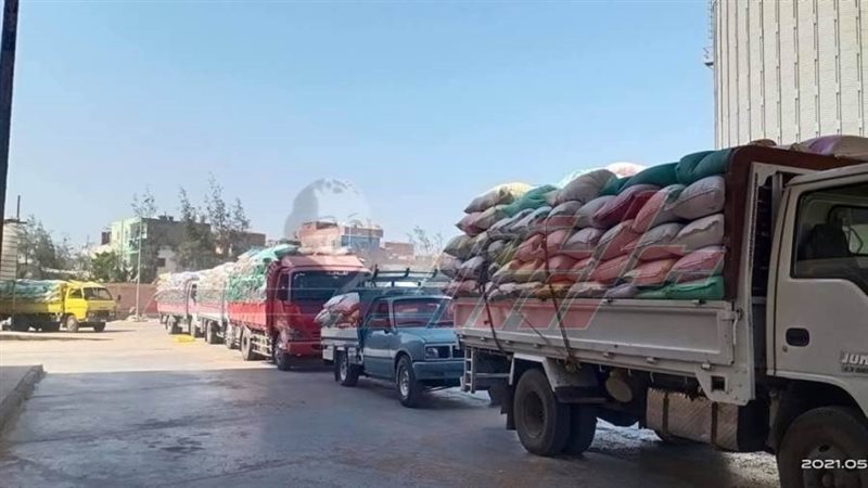 توريد القمح