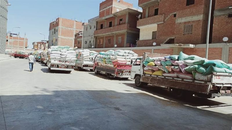 توريد القمح للصوامع