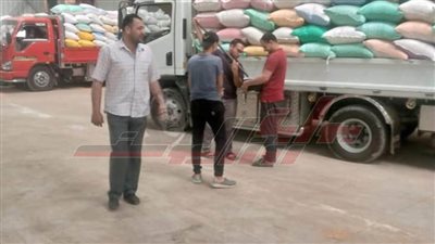 شون وصوامع كفر الشيخ تستقبل 167325 طن قمح