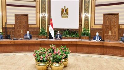 أهم 5 صور.. الرئيس السيسي يتابع كافة محاور مشروع تطوير قرى الريف المصري