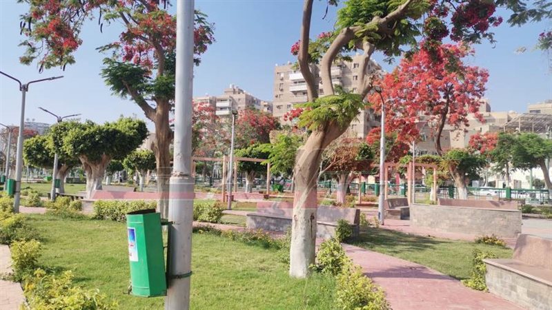 كورنيش المنيا يتزين