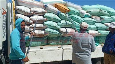 تموين كفر الشيخ: انتظام صرف مستحقات مزارعى وموردى الأقماح
