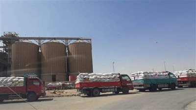 بنى سويف تخطت ١٠٠٪ فى توريد القمح