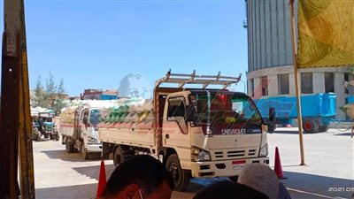 شون وصوامع كفر الشيخ تستقبل  171003 أطنان قمح