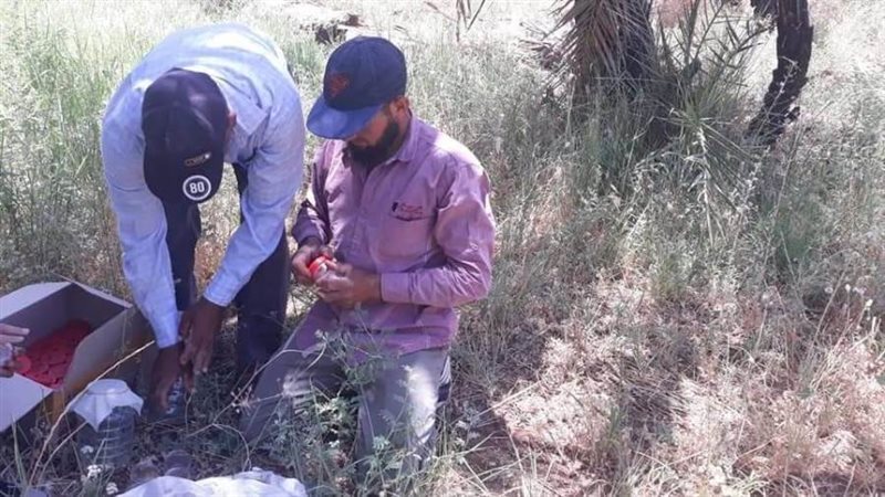 الوفد البحثي ودراسة