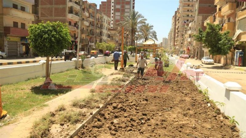 إنشاء الحديقة