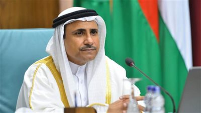 العسومي: تحركات فخامة الرئيس السيسي عربيا وإفريقيا ضمان لأمن واستقرار المنطقة