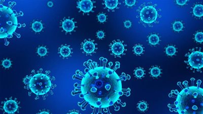 ذا هيل: المخابرات الأمريكية تمتلك أدلة غير مفحوصة حول أصول فيروس كورونا