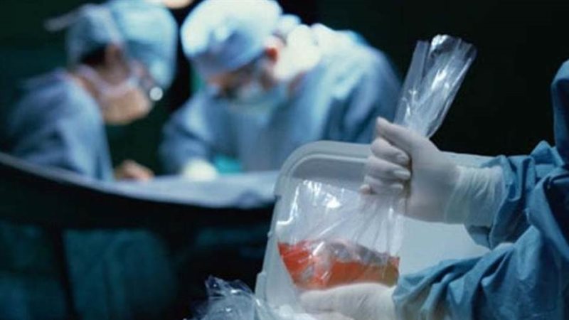 صورة أرشيفة