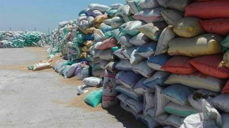 توريد القمح