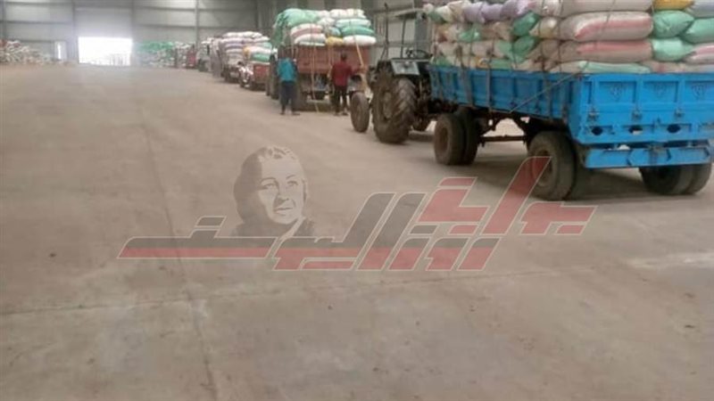 توريد الأقماح