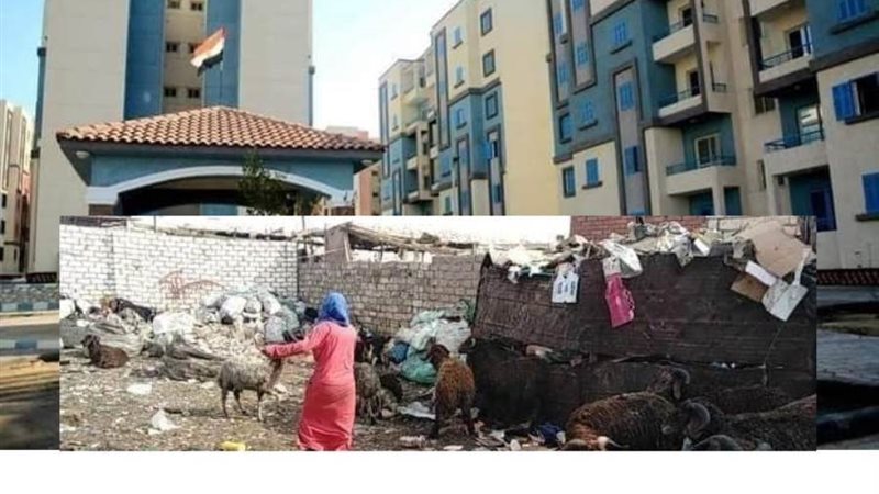 كمبوند زهور 15 مايو..