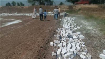 إزالة حالتي تعدٍّ على الأراضي الزراعية بالبحيرة