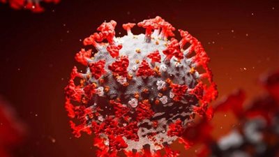 وفاة 32 نائباً في برلمان الكونغو الديمقراطية بفيروس كورونا