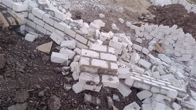 استمرار حملات إزالة التعديات على الأراضي الزراعية بالبحيرة.. (صور)