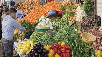 سعر الخضروات اليوم| الطماطم تسجل 4 جنيهات.. والكوسة تسجل 5 جنيهات