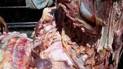 ضبط 200 كيلو جرام لحوم غير صالحة للاستهلاك الآدمي بالسويس