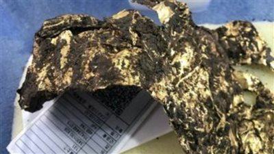 عاجل| الكشف عن كنز لم يسبق له مثيل في العالم.. حدوة الفرس