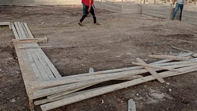 إزالة 8 حالات تعدٍ على الأراضي الزراعية في حملة بالبحيرة