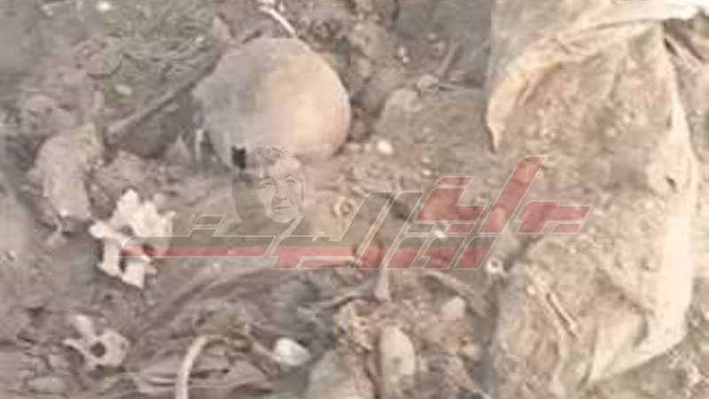 رفاق للموتى