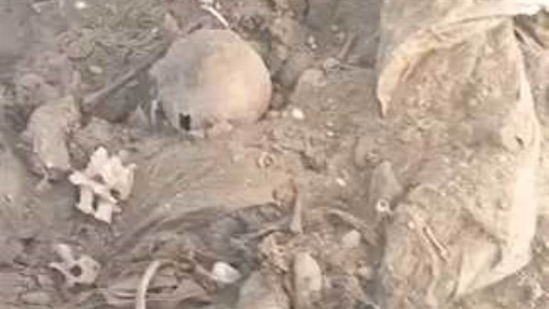 رفاق الموتى