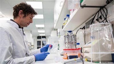 المكسيك: ارتفاع حصيلة الإصابات المؤكدة بفيروس كورونا إلى مليونين و412 ألفا و810 حالات