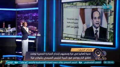 بسمة وهبة: تعليق صور الرئيس السيسي وأعلام مصر في غزة ضربة كبيرة لخصومنا