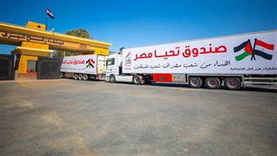 هدية مصر للأشقاء في قطاع غزة