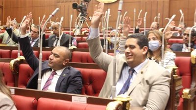 تأييد برلماني لمشروع قانون صندوق الطوارئ الطبية